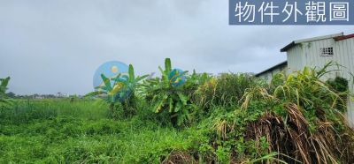 Y050花蓮國強段持分方正基地清新良田清風農地視意圖