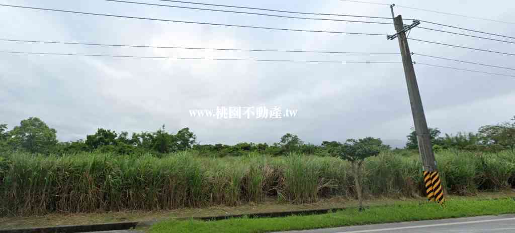 花蓮壽豐鄉美農地30米路角地視意圖